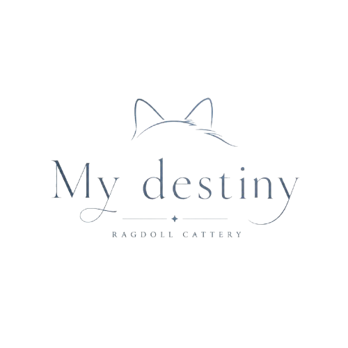 My Destiny Ragdolls