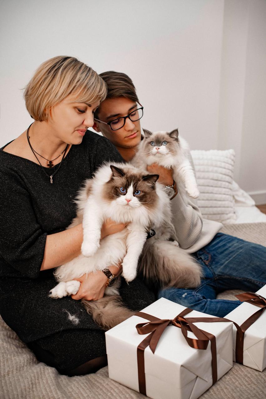 Life at the cattery